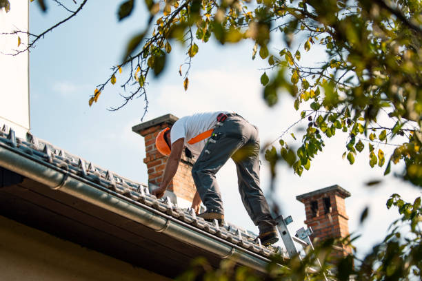 Best Roof Gutter Cleaning  in Clark, SD